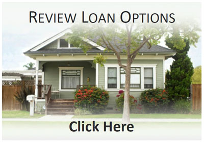Review Loan Options image
